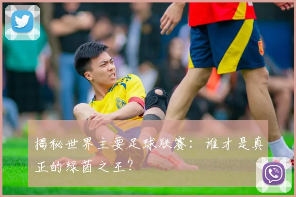 揭秘世界主要足球联赛:谁才是真正的绿茵之王?