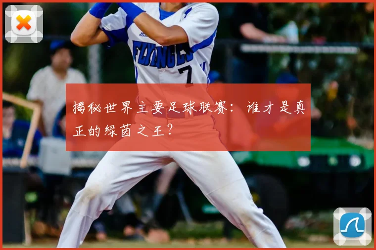 揭秘世界主要足球联赛：谁才是真正的绿茵之王？