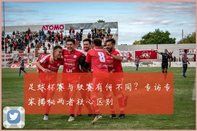足球杯赛与联赛有何不同?专访专家揭秘两者核心区别